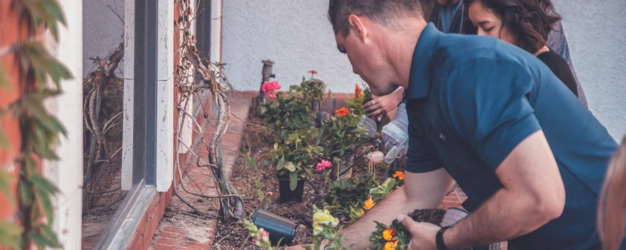 People working on a garden planter